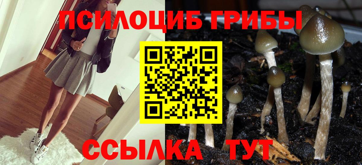 Каменск-Уральский  Галлюциногенные грибы прущие грибы  Вход с VPN  наркошоп  Галлюциногенные грибы Psilocybe 